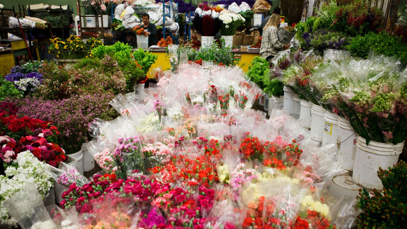 Inside The Southern California Flower Market For Wholesale Inventories Data
lugas