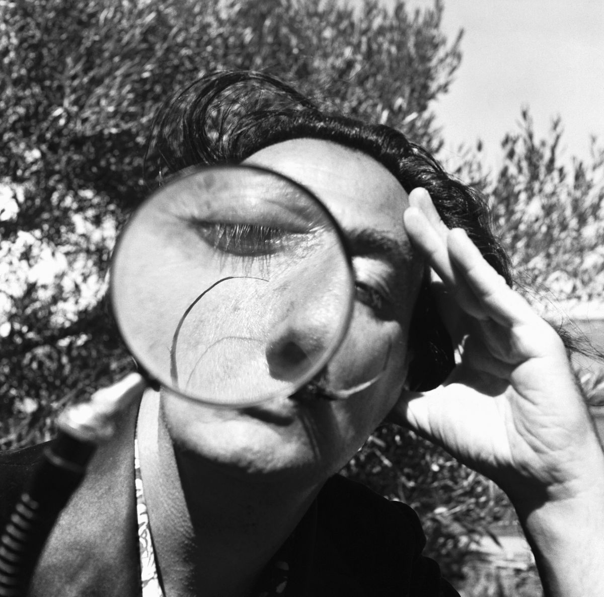Salvador Dalí bajusza