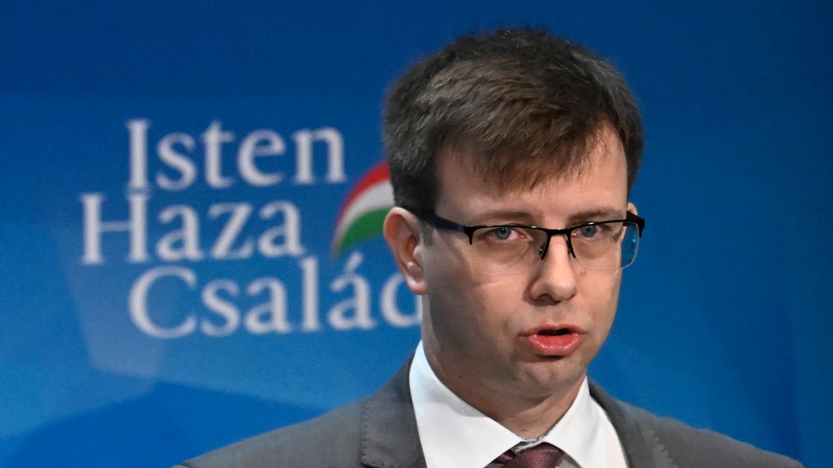 EU Affairs Minister: Strong Hungarian Representation in EP Important