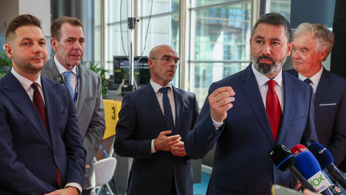 A Return to Sanity Hangs in the Balance of EP Elections, Says MEP