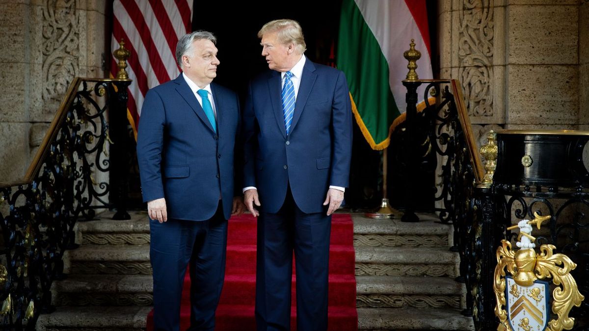 Donald Trump: Viktor Orban Wants to See No Wars, I Don't Want to See Wars +Video
