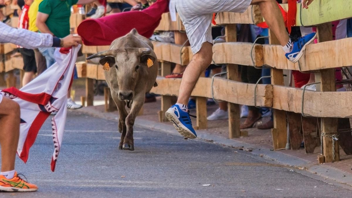 Leszámol a bikaviadal-kultúrával a spanyol szélsőbaloldal