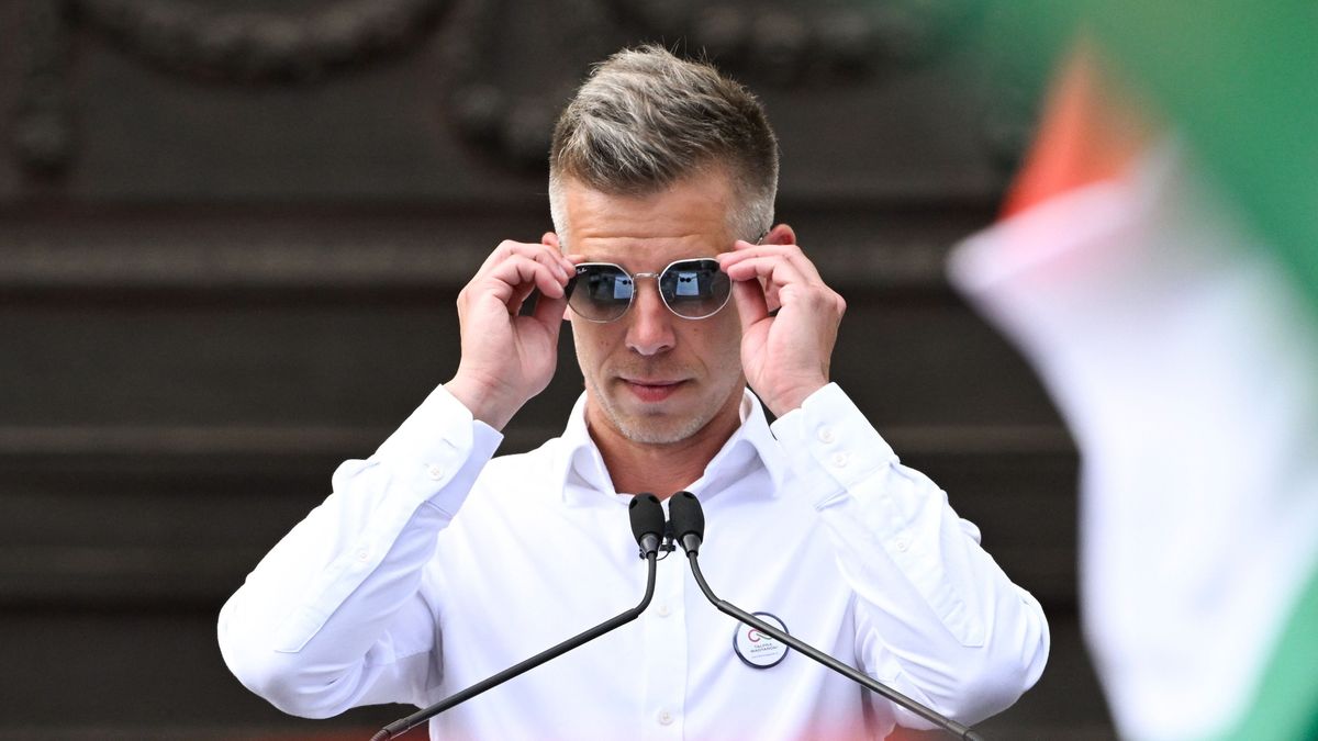 Magyar Péter bohóc sipkát kapott csúfos kudarca után
