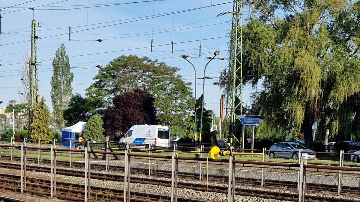Elkapták a rendőrök a férfit, aki a Tiszai pályaudvar mellett megerőszakolt, majd brutálisan meggyilkolt egy nőt