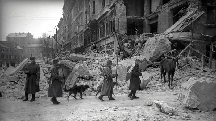 1945. Budapest V., Budapest IX.
Kálvin tér a Kecskeméti utca torkolatától a Vámház körút felé nézve, jobbra a Pintér-ház romjai.
Fortepan / Vörös Hadsereg

