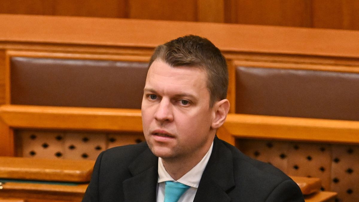 Tamas Menczer: Instead of Building Europe's Peace, Brussels Is Building War + Video
