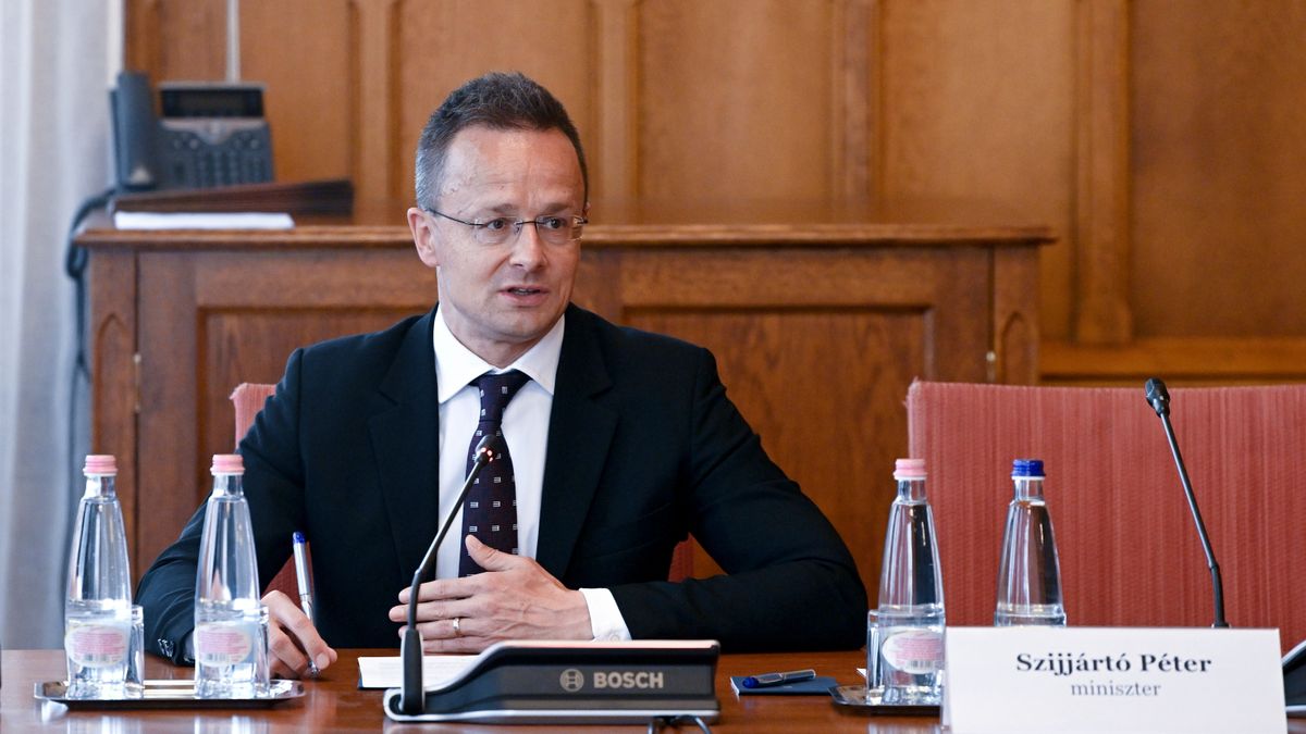 Hungarian Foreign Policy Proved Effective in Past Challenges