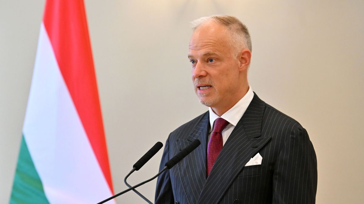 Szalay-Bobrovniczky Kristóf: Megerősítést nyert, hogy hazánk kimarad a NATO ukrajnai szerepvállalásából
