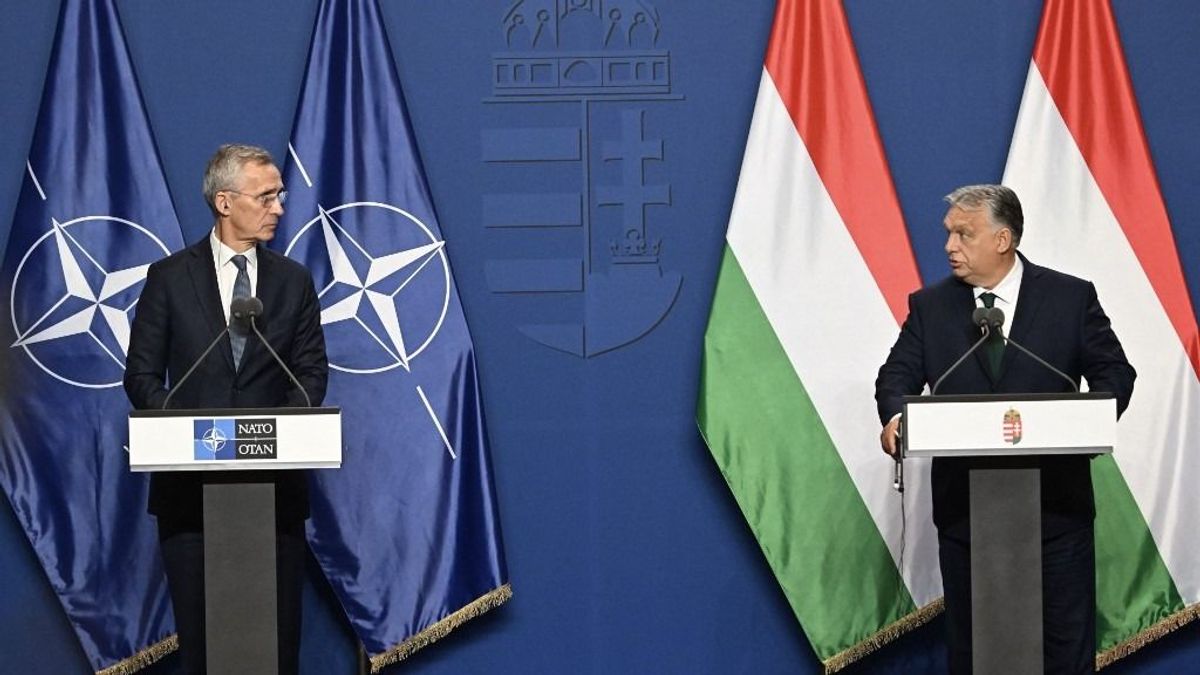 "Strengthened by the Result of the European Parliament Election, Hungary's Government Asserted its National Interest and Achieved the Goal"