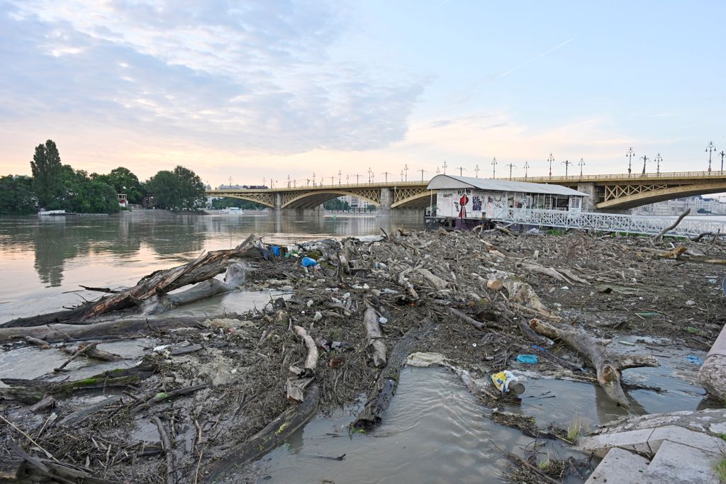 Budapest, 2024. június 7.
Feltorlódott folyami hordalék a Dunán a II. kerületi Slachta Margit rakpartnál a Margit híd közelében2024. június 7-én. Az érkezõ dunai árhullám miatt a Budapest Közút már lezárta a forgalom elõl a budai alsó rakpartot a Mozaik utca és a Rákóczi híd között, illetve a pesti alsó rakpartot a Népfürdõ utca és a Közraktár utca között. A folyó tetõzése a fõvárosban június 8-án várható, 660 centiméter körüli vízállással.
MTI/Lakatos Péter