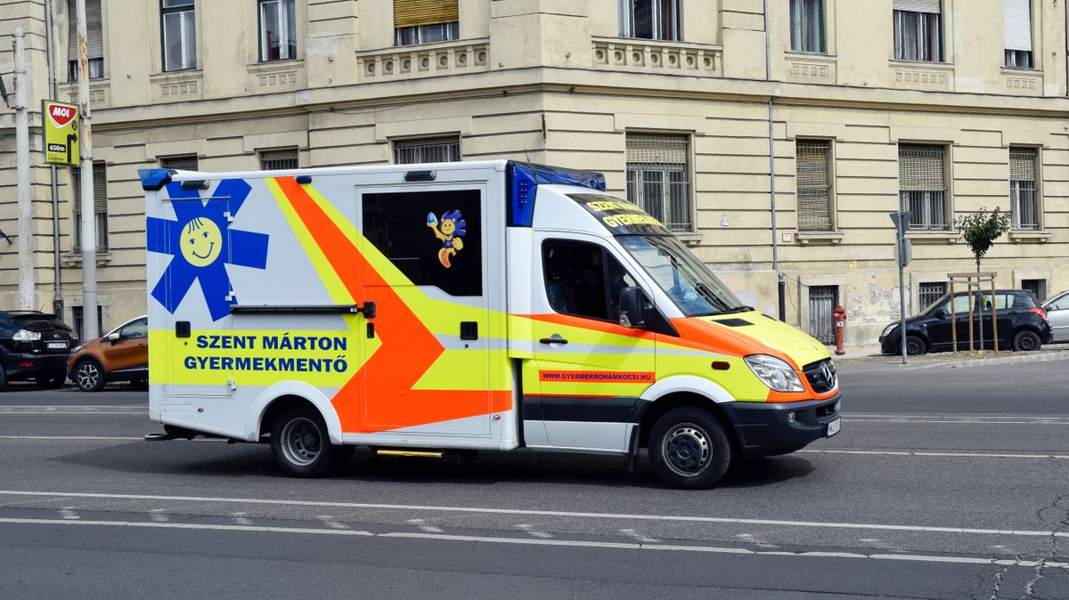 Egy fehérvári kisgyermek is nekik köszönheti az életét + videó