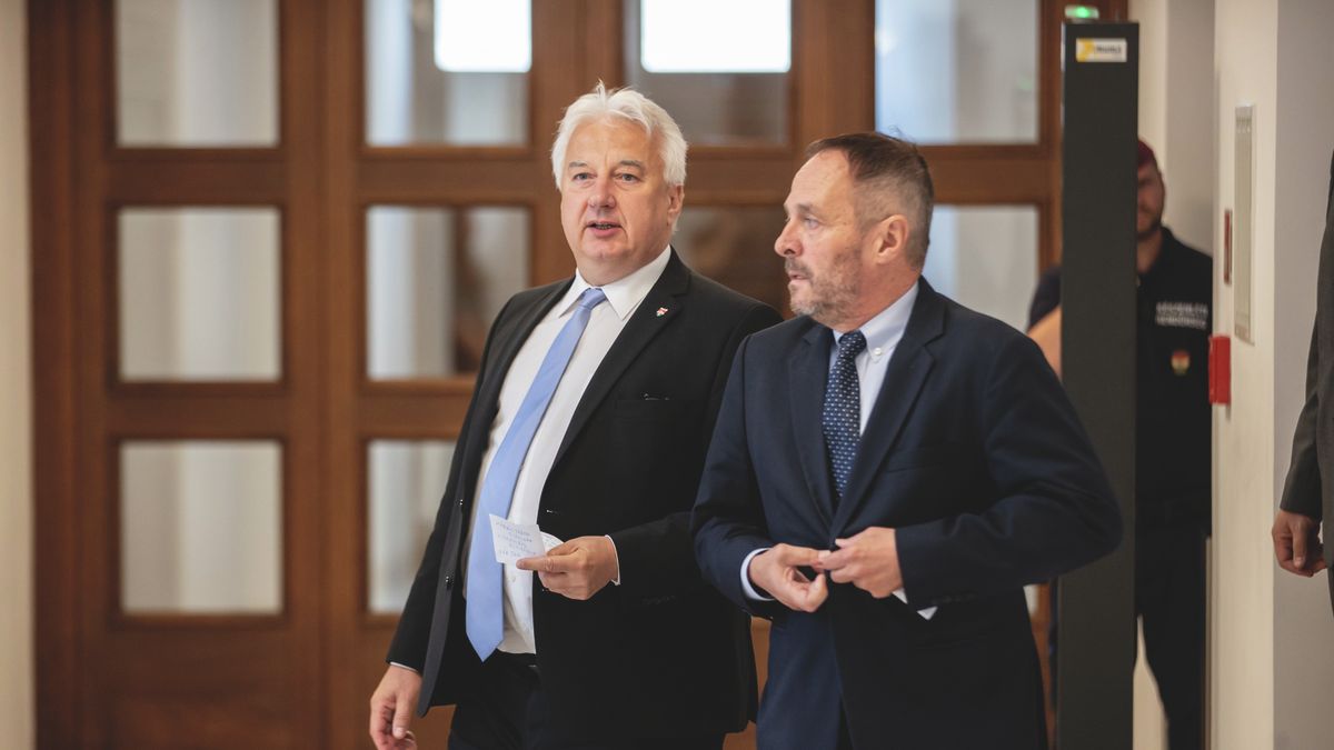 Hölvényi György: Elmentünk a falig