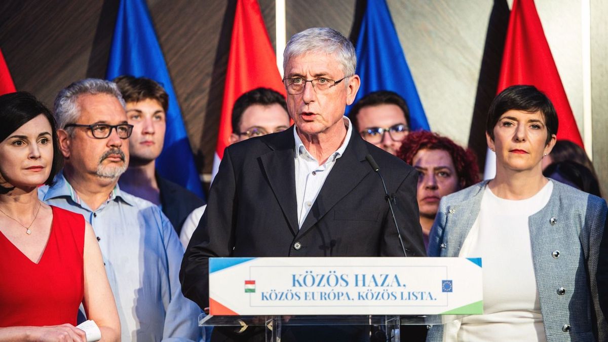 Béna kacsa balosok