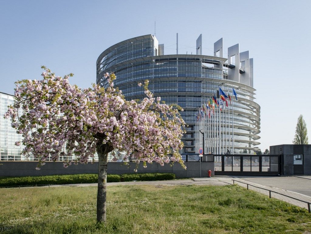 European Parliament building and cherry tree in Strasbourg