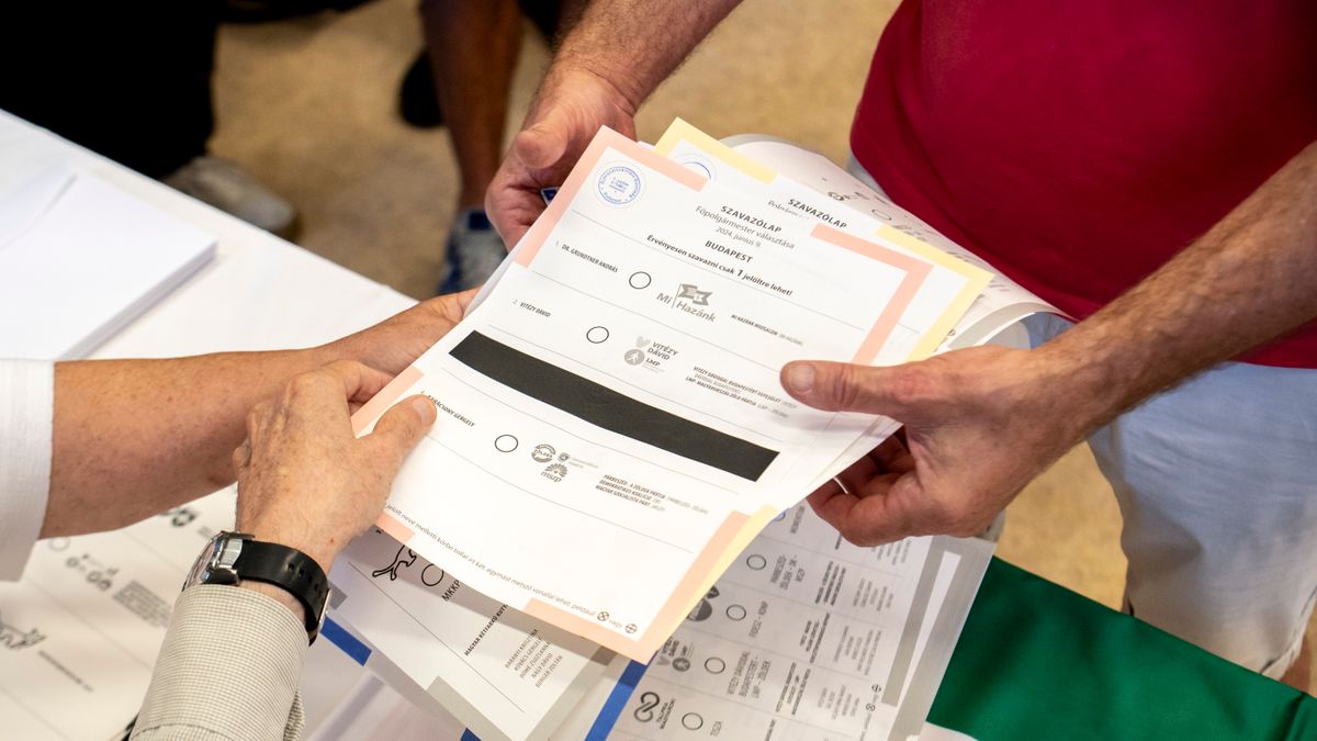 Ekkora volt a részvételi arány az EP-választáson Amerikában
