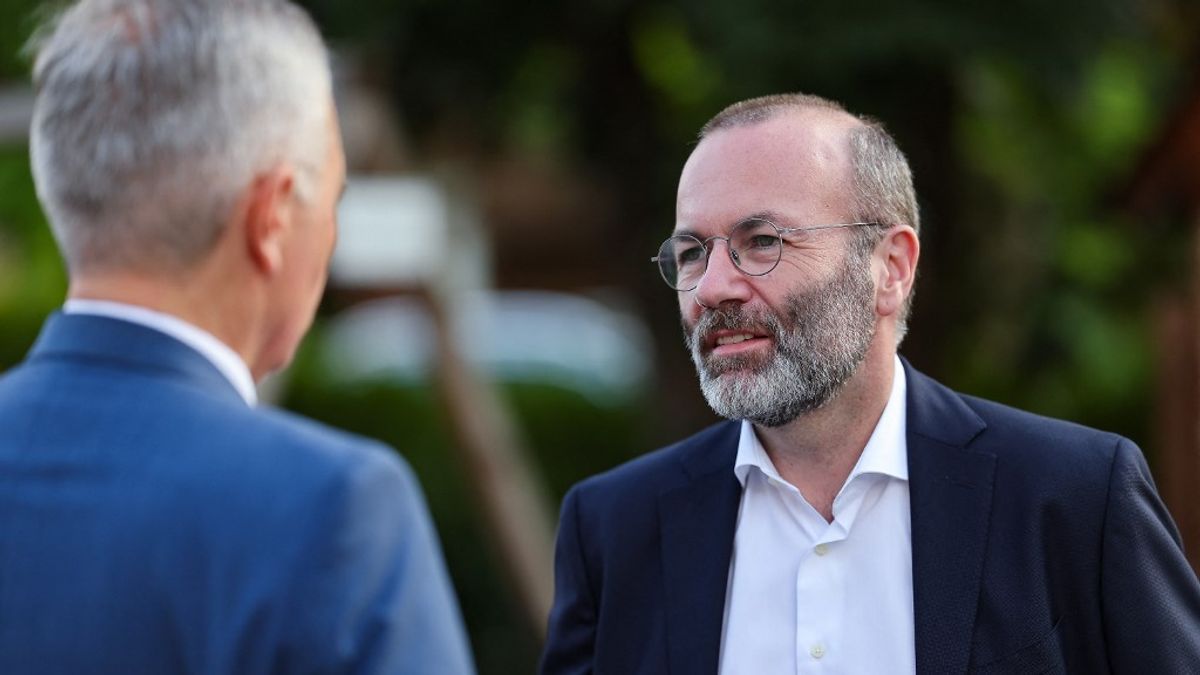 Régi sebeit nyalogatja Weber, és közben Orbánt támadja háborúellenes politikája miatt