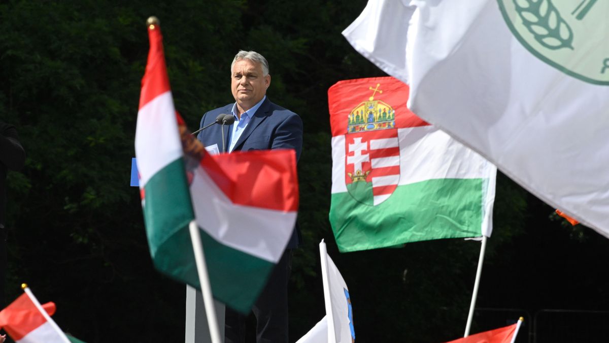 „Sokan irigyeltek Bulgáriában, hogy részt vehettem a békemeneten”