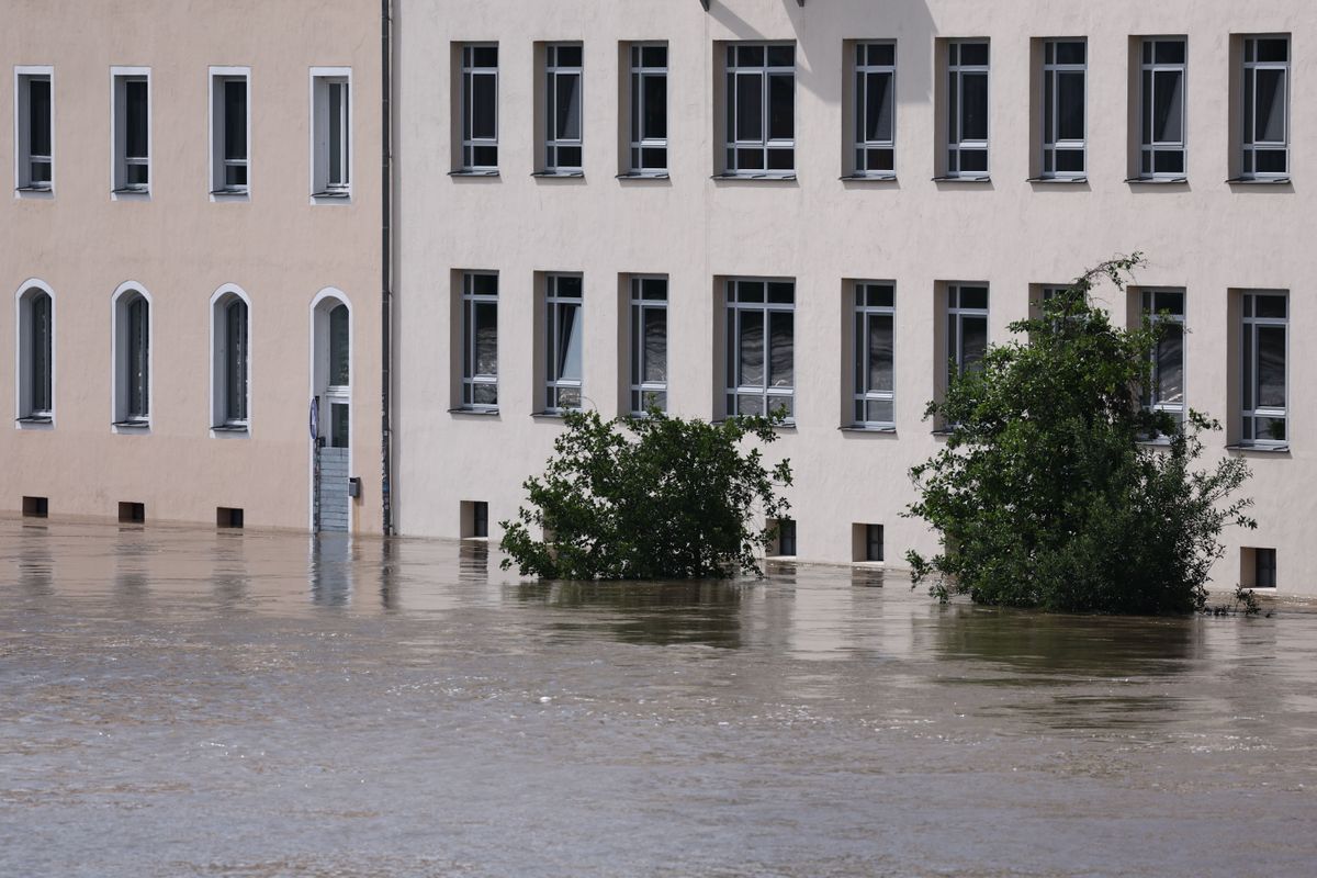 A megáradt Duna vizében álló fák a bajorországi Regensburgban 2024. június 4-én. Az elmúlt napok drámai esőzései miatt Németország déli részének számos települését árvíz sújtja. (Fotó: MTI/EPA/Szilágyi Anna)