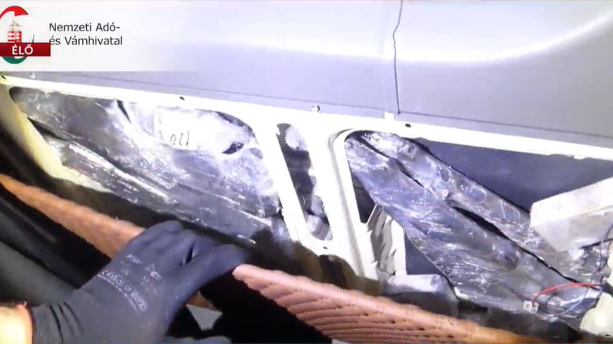 Fegyverarzenált kapcsoltak le Röszkén + videó