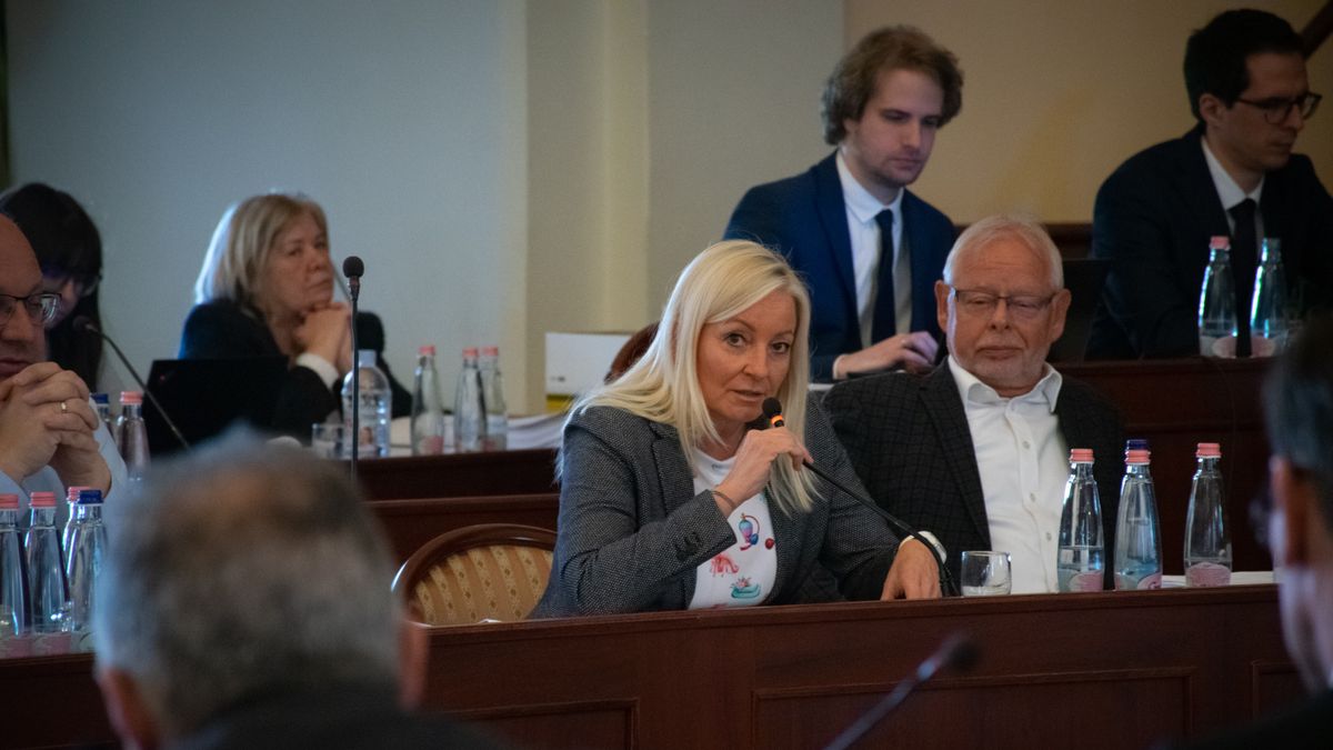 Dódity Gabriella: Elvágjuk a baloldali haveri szálakat, rendet teszünk a vagyongazdálkodásban