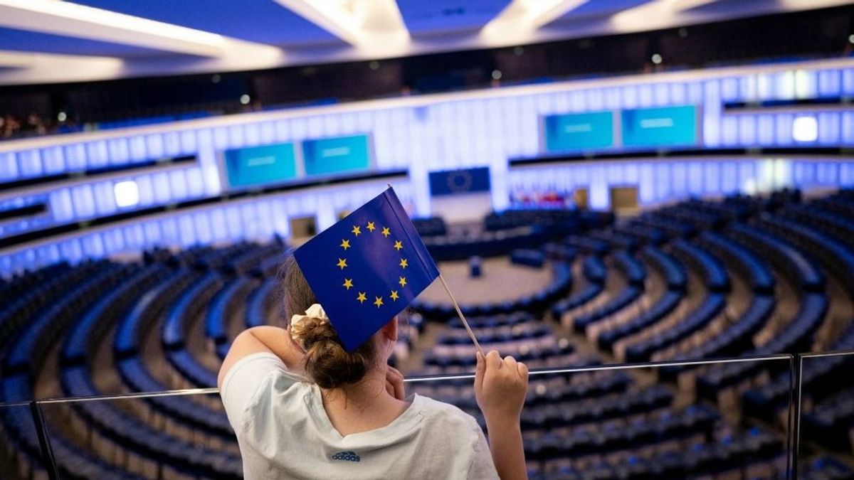 Szakértő: A liberálisok és a zöldek a legnagyobb vesztesei az EP-választásnak