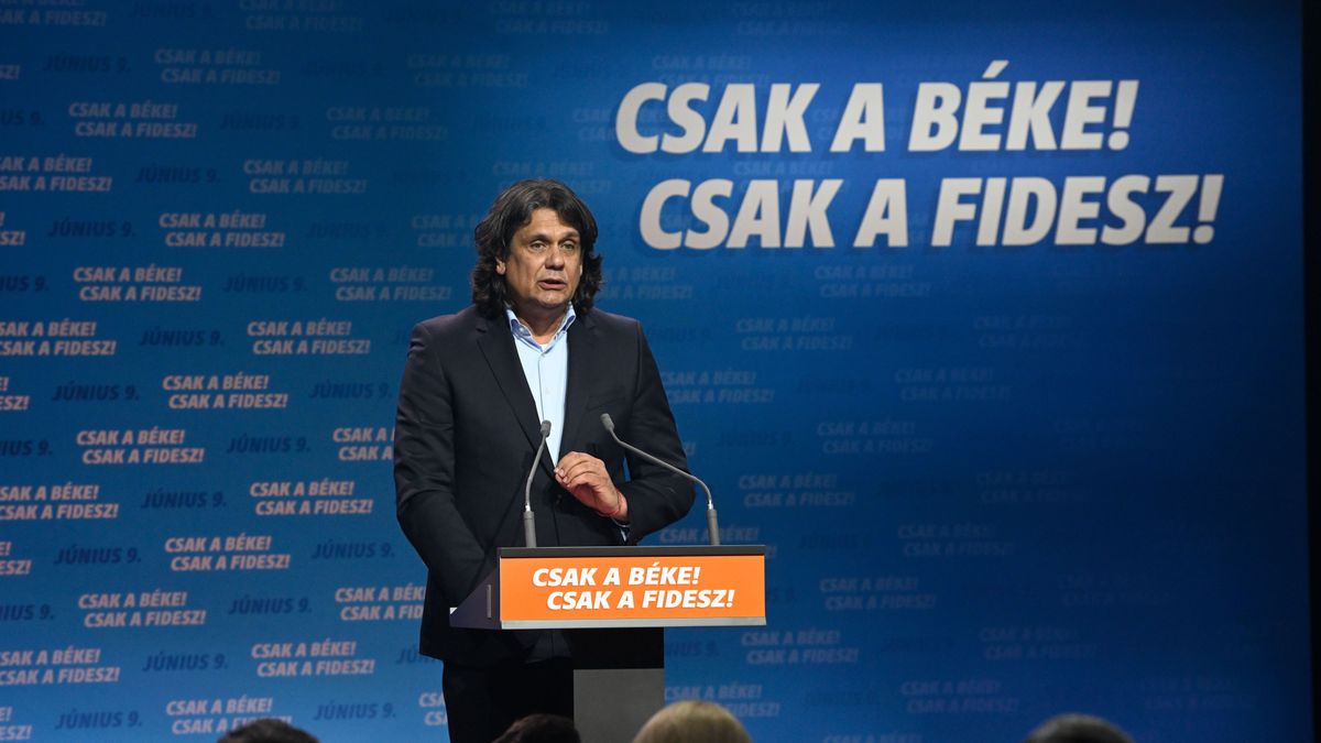 The Dust Is Settling: Here Are the MEPs Representing Hungary for Next Five Years