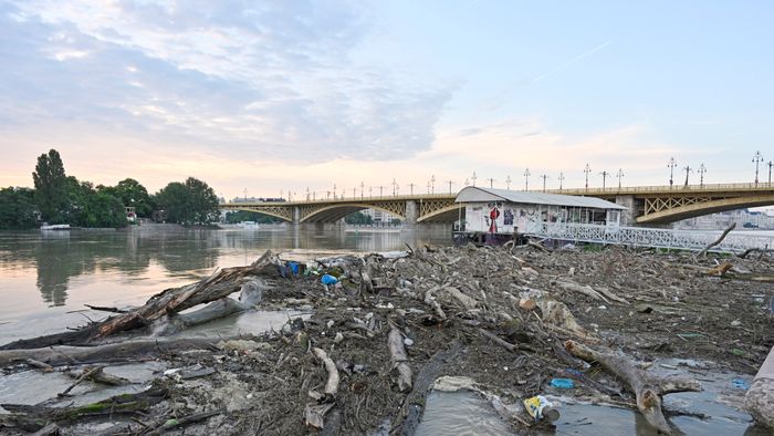 Budapest, 2024. június 7.
Feltorlódott folyami hordalék a Dunán a II. kerületi Slachta Margit rakpartnál a Margit híd közelében2024. június 7-én. Az érkezõ dunai árhullám miatt a Budapest Közút már lezárta a forgalom elõl a budai alsó rakpartot a Mozaik utca és a Rákóczi híd között, illetve a pesti alsó rakpartot a Népfürdõ utca és a Közraktár utca között. A folyó tetõzése a fõvárosban június 8-án várható, 660 centiméter körüli vízállással.
MTI/Lakatos Péter