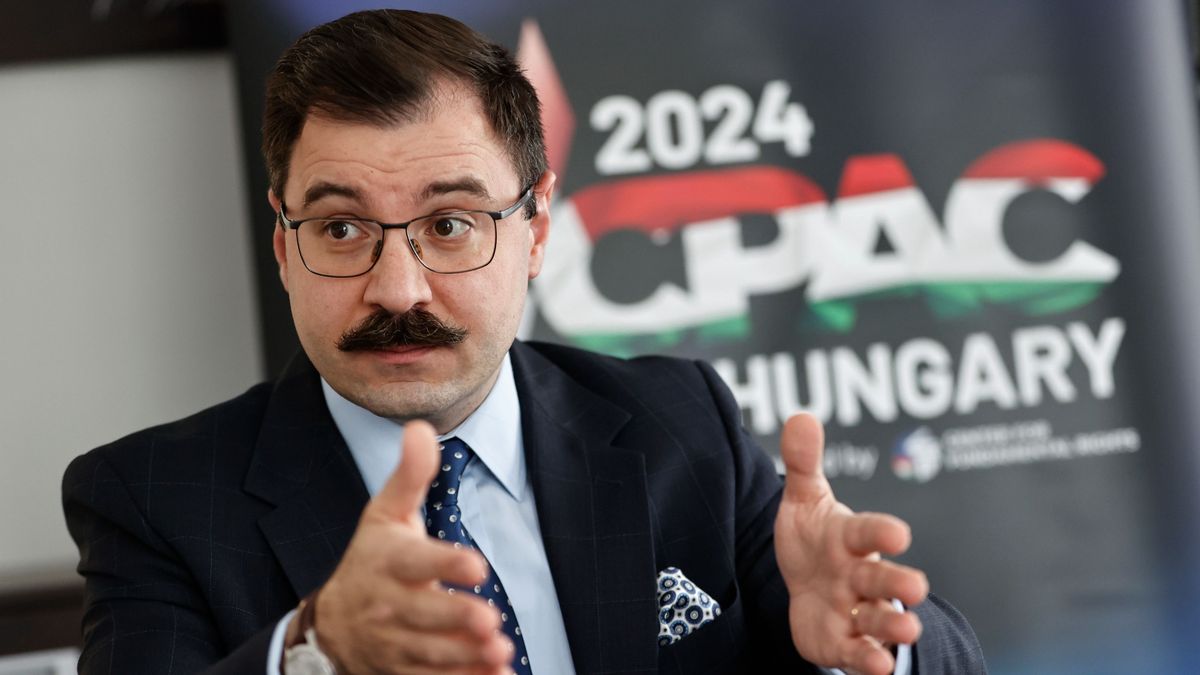 Think Tank Chief: Joe Biden's Replacement Will Be Nominee of Liberal Deep State, Not of Voters