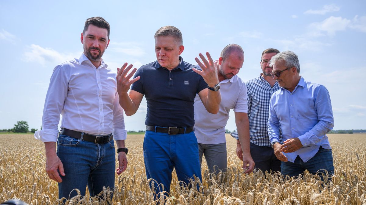 A szlovák SMER valószínűleg független marad