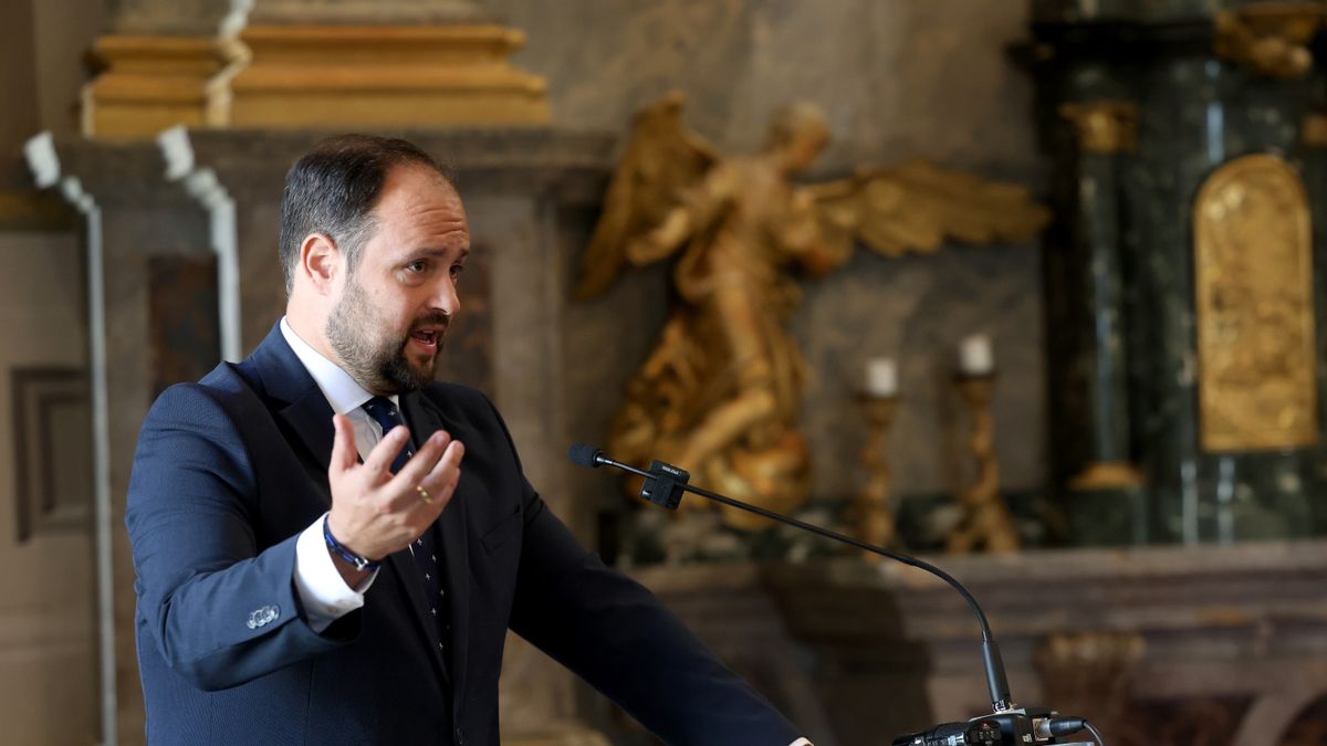 Hungarian Delegation Chief Urges NATO Involvement in Starting Ukraine Peace Talks