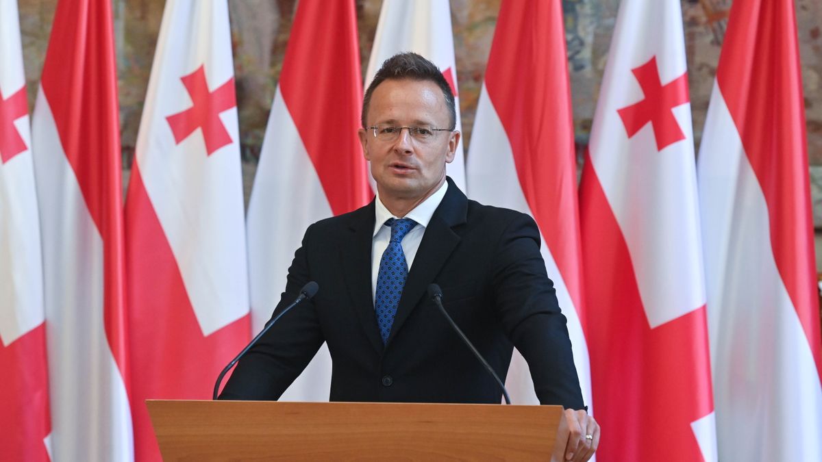 Hungary FM: Shame to See, Shame to Hear