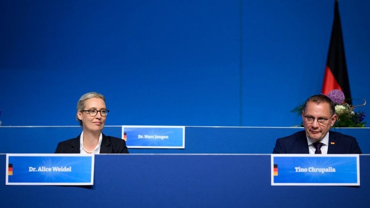 Új frakciót hozna létre az EP-ben a német AfD