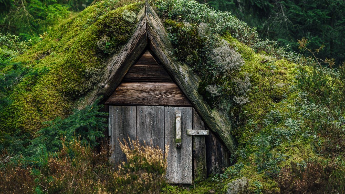 Old,Type,Of,Outdoor,Refrigerator,,A,Wooden,Building,Covered,With,faház