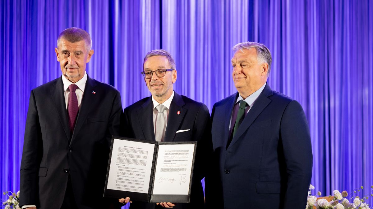 Concerted Attack Unleashed in Brussels to Undermine Hungary's EU Presidency and Patriots for Europe Alliance