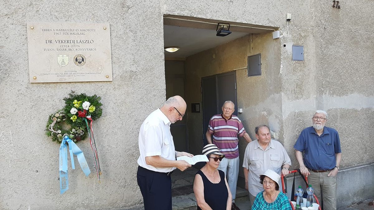 Gondolkodó, bár szakképzetlen nádszál