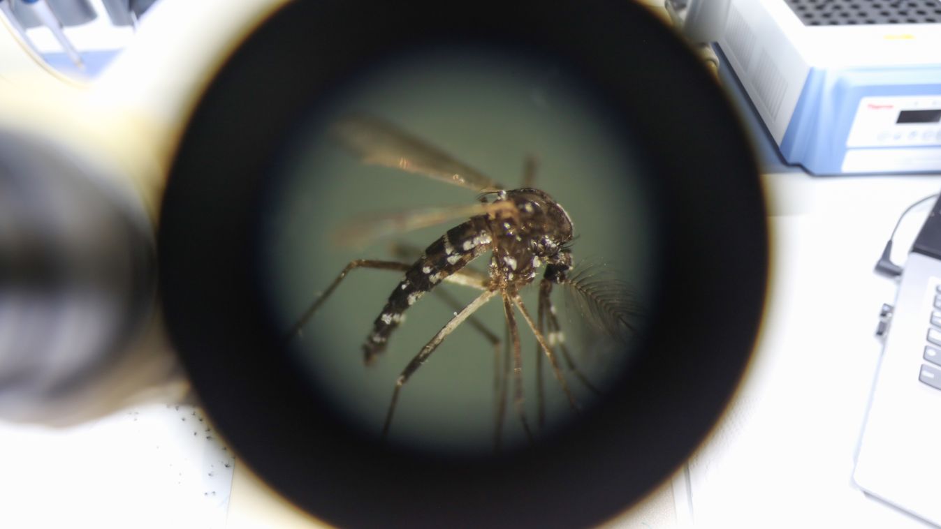 Epidemiological alert for dengue in El Salvador