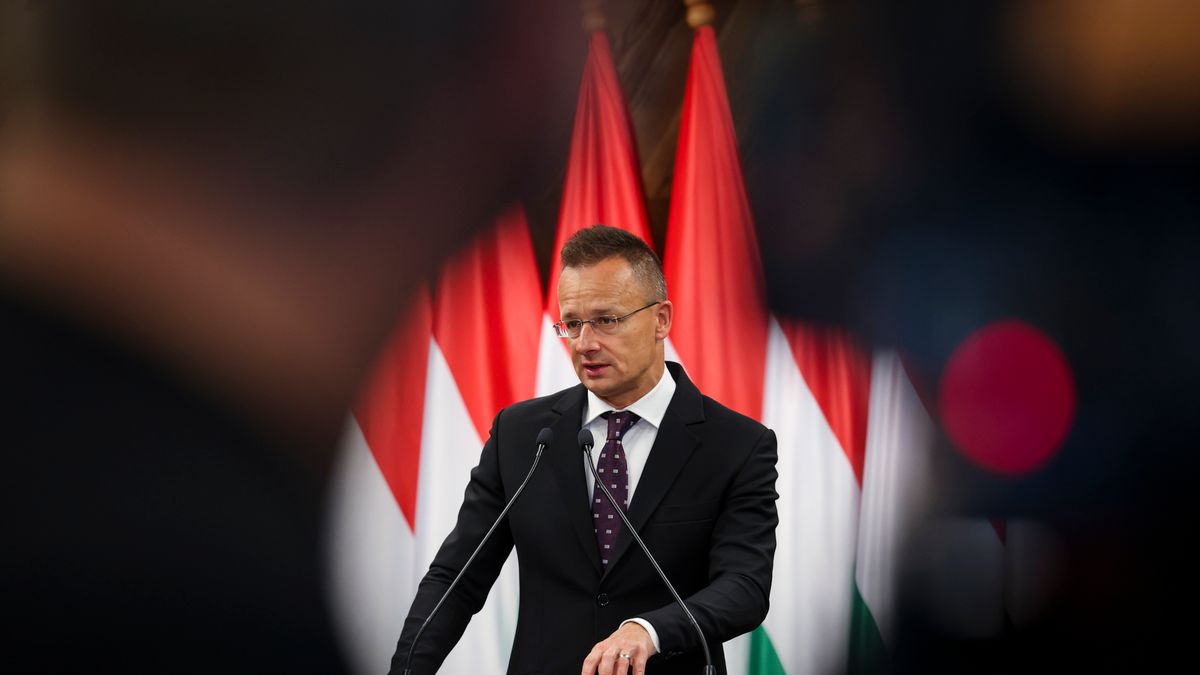 Hungary FM: Paks Nuclear Plant Upgrade Progresses Apace + Video
