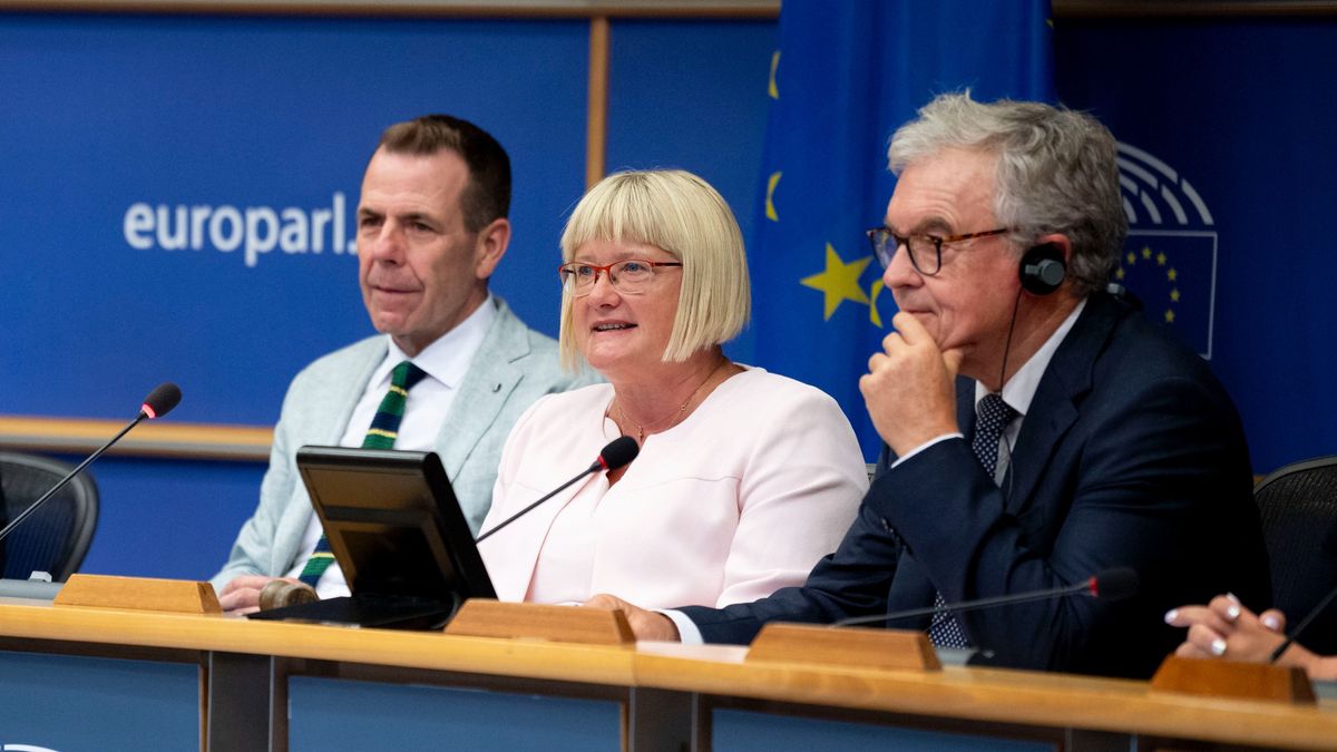 Baloldali önkényuralom az Európai Parlamentben