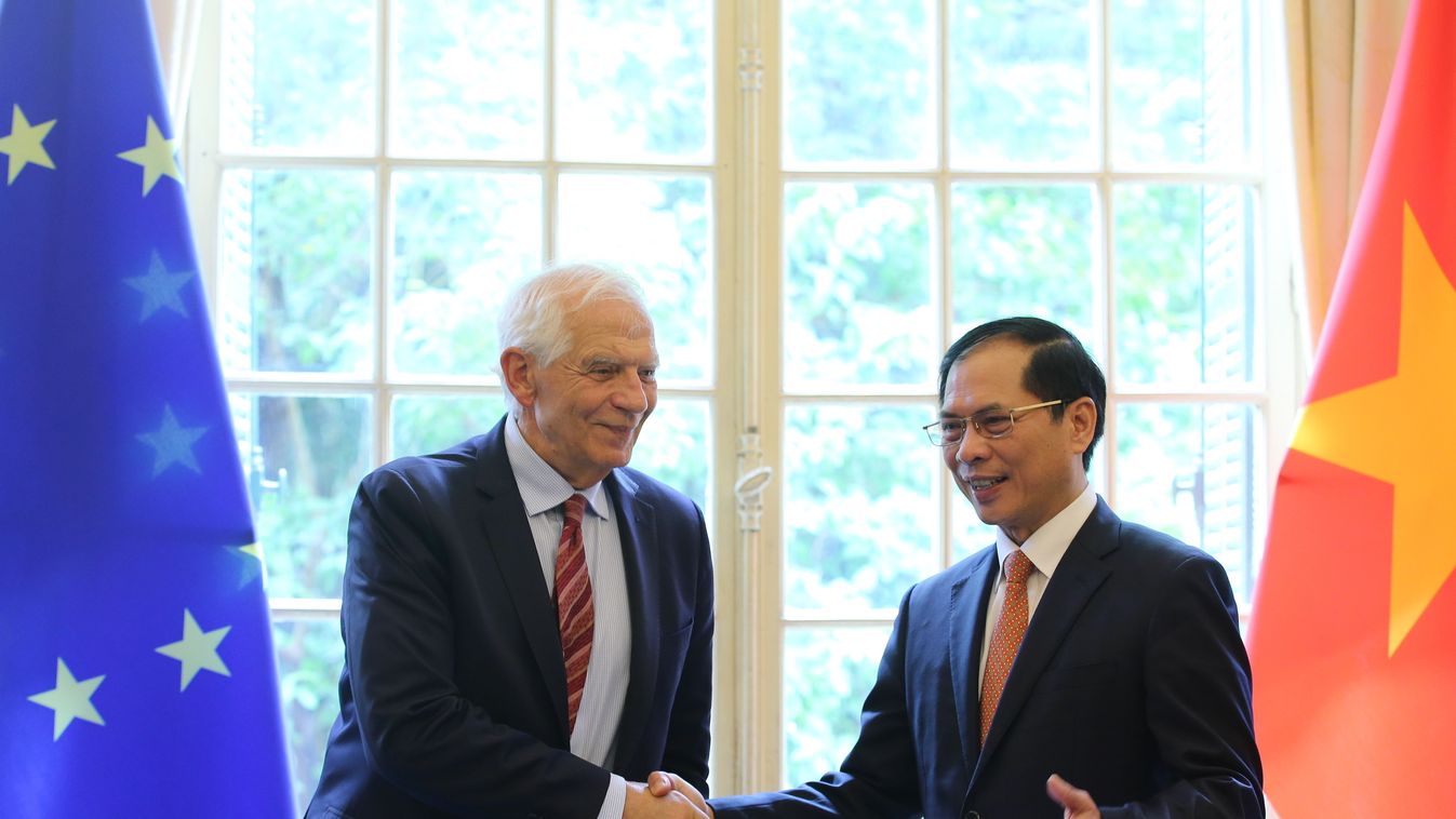 BUI THANH SON; BORRELL FONTELLES, Josep