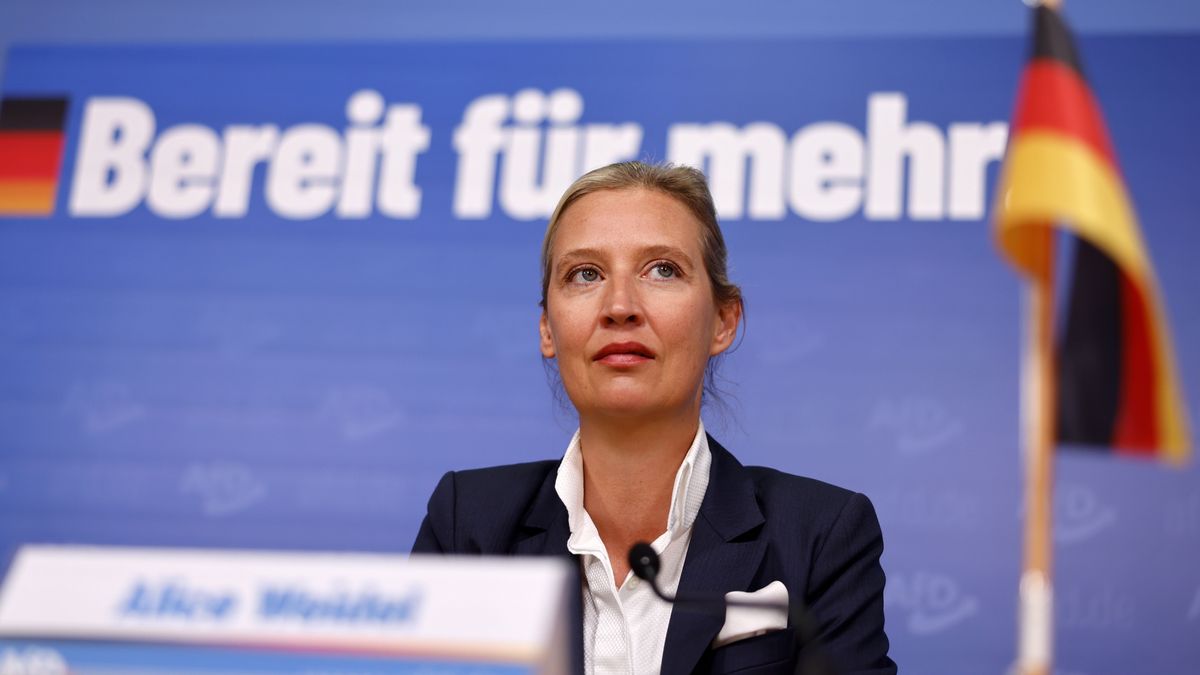 Új EP-frakciót alakít a német jobboldali AfD – nagy bejelentésre készül a párt