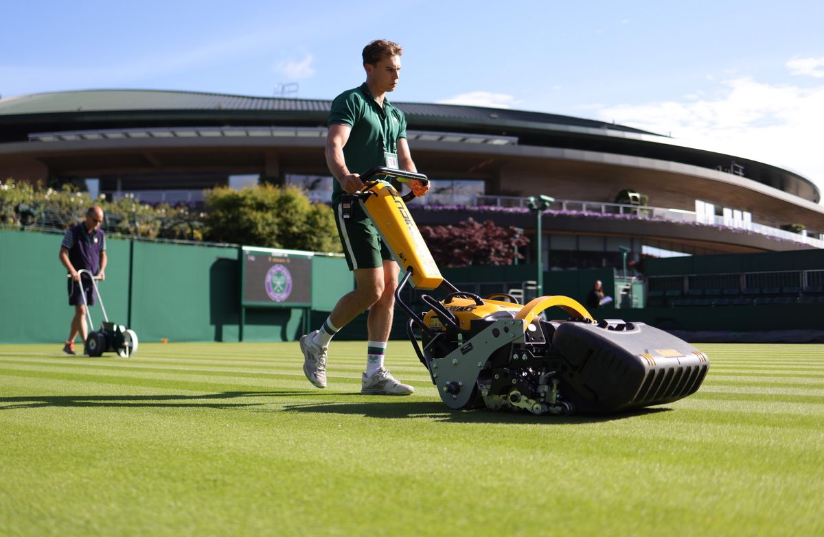 Wimbledon fű Grand Slam eső Andrej Rubljov dühroham székbíró