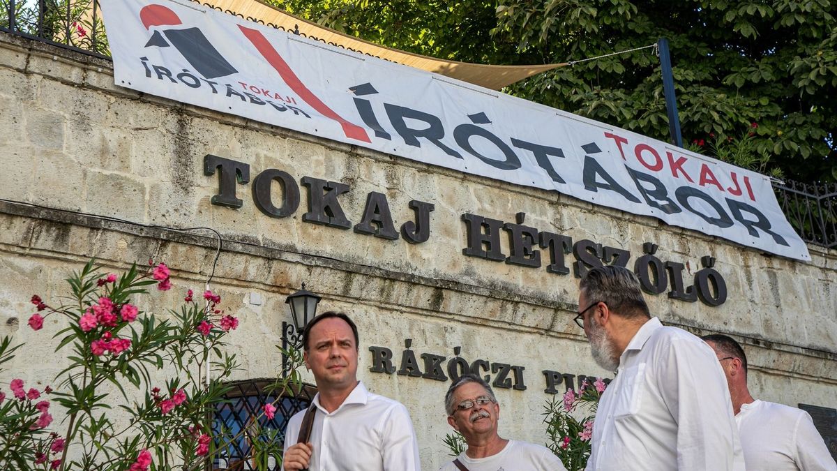 „Bárki azt ír, amit akar” – Sérti-e az alkotói szabadságot a gyermekvédelmi törvény?