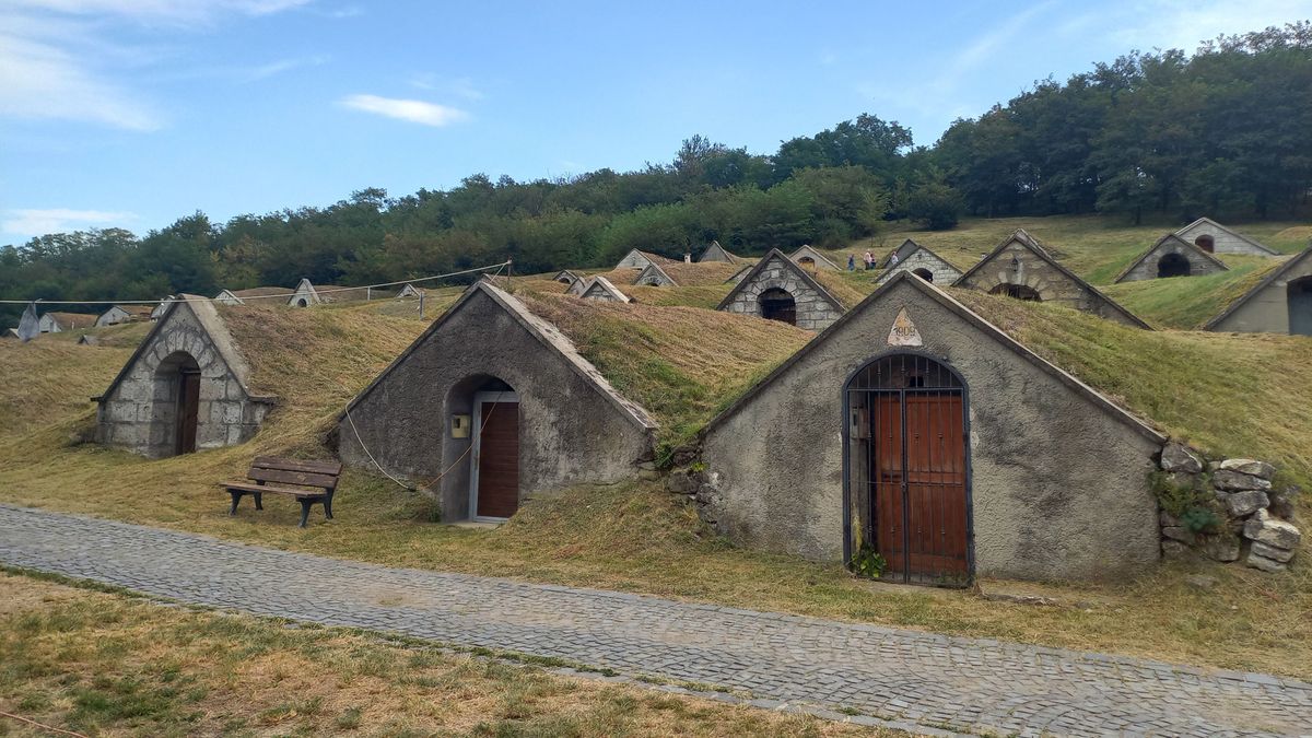 Sváb miliőjű fesztivált rendeztek a világhírű hercegkúti pincesoron