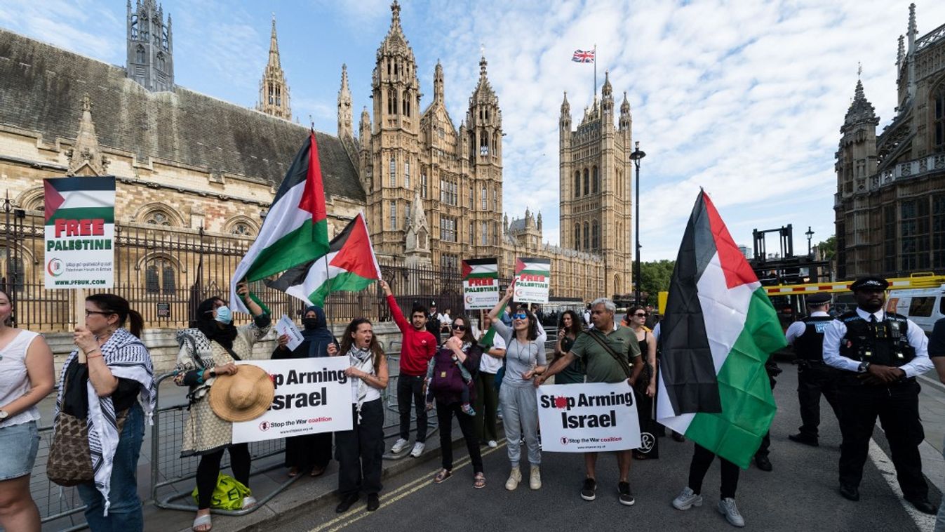 'Hands Around Parliamentâ? protest for Palestinians in London