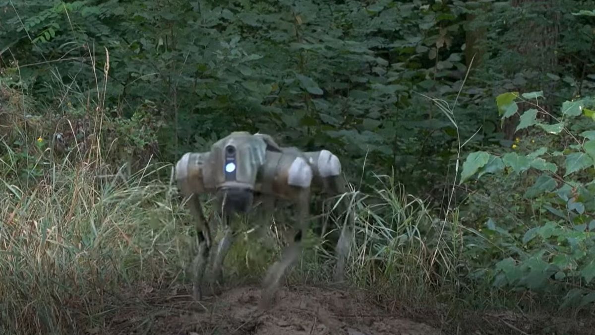 Éles háborús helyzetben próbálják ki a robotkutyákat az ukrán fronton