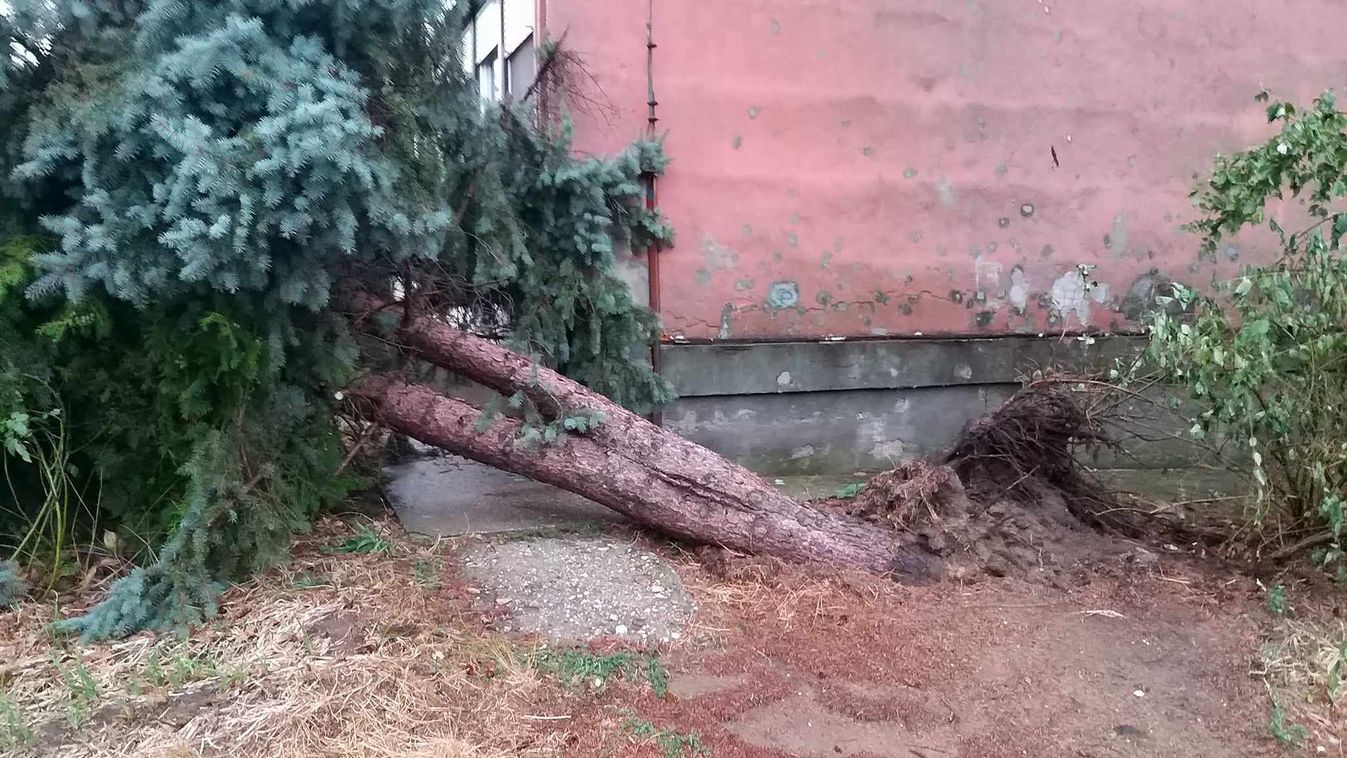 Mindent vitt a keddi vihar, a jégeső mellett a szél is nagy pusztítást hagyott maga után
 / Viharvonal Viharvadász Csapat