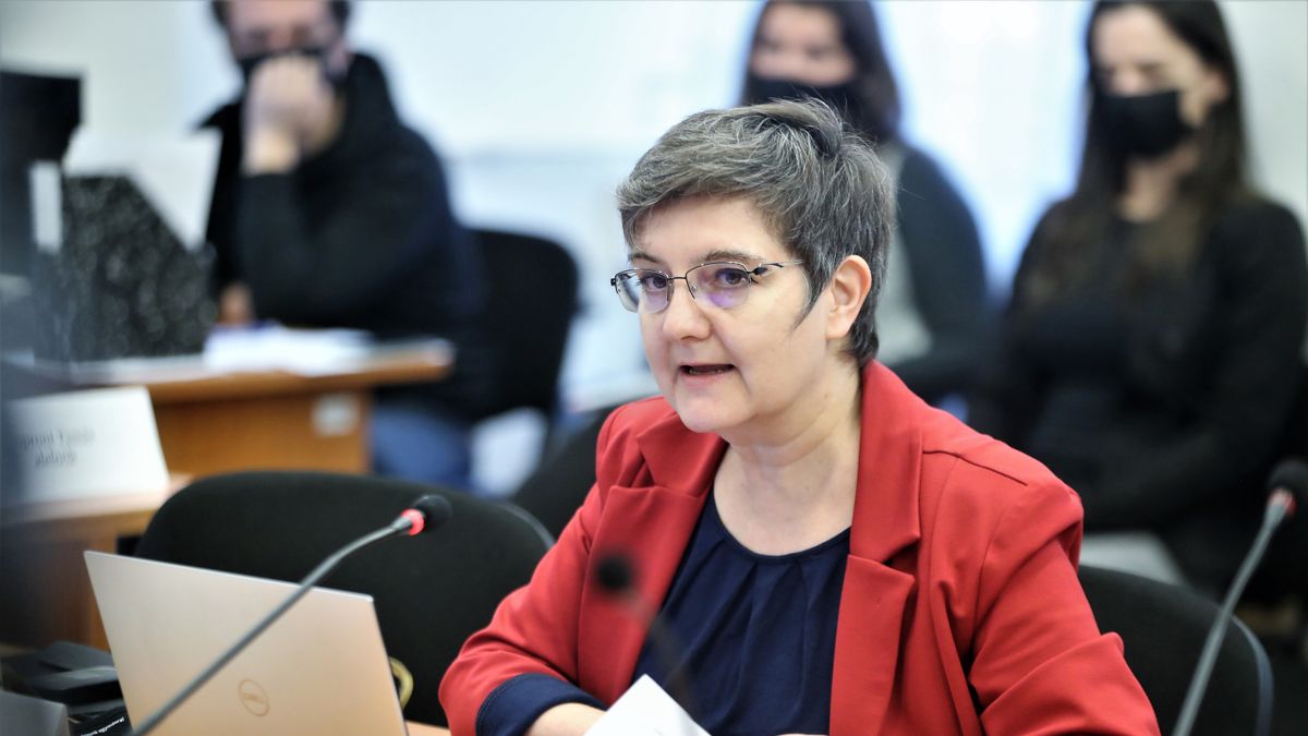 V. Naszályi Márta a fegyelmi eljárás után sem hajtotta végre a képviselő-testület döntését