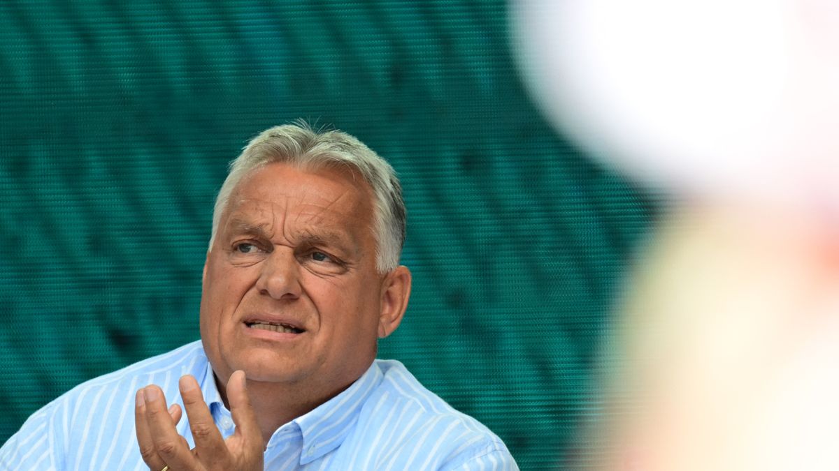 Famous Polish Publicist Praises PM Orban's Policies
