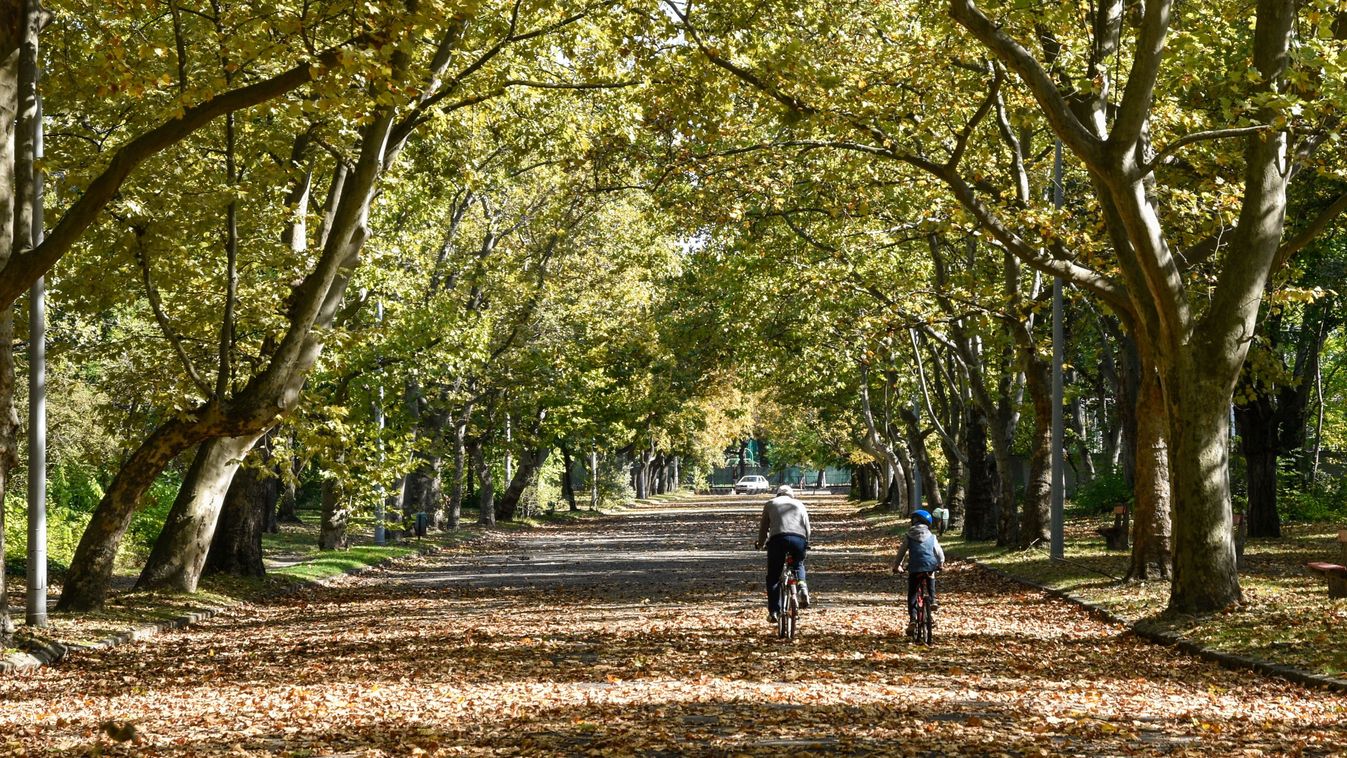 Budapest, 2021. október 9.
Kerékpárosok közlekednek az õszi Népliget egyik sétányán.
MTVA/Róka László 
***************************
Kedves Felhasználó!
Ez a fotó nem a Duna Médiaszolgáltató Zrt./MTI által készített és kiadott fényképfelvétel, így harmadik személy által támasztott bárminemû  különösen szerzõi jogi, szomszédos jogi és személyiségi jogi  igényért a fotó szerzõje/jogutódja közvetlenül maga áll helyt, az MTVA felelõssége e körben kizárt.