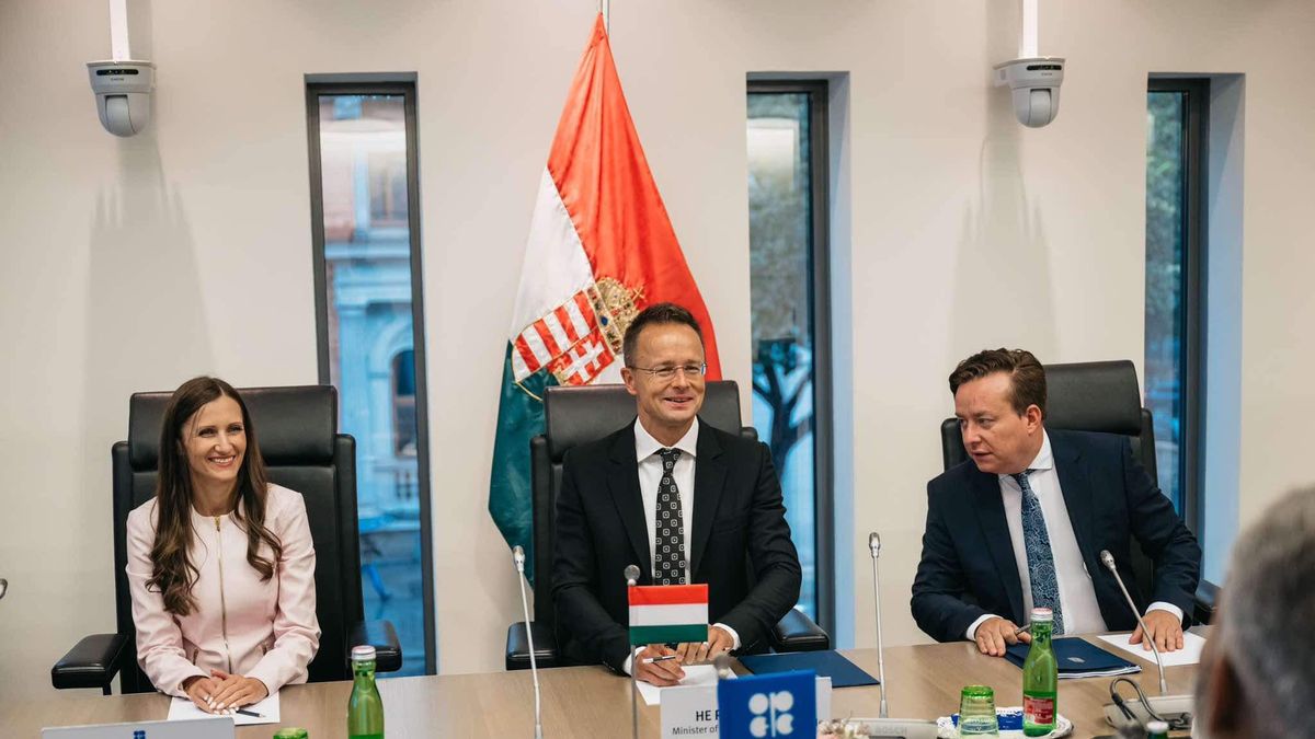 Hungary FM: Matter of Crude Supply Mustn't Be Politicized